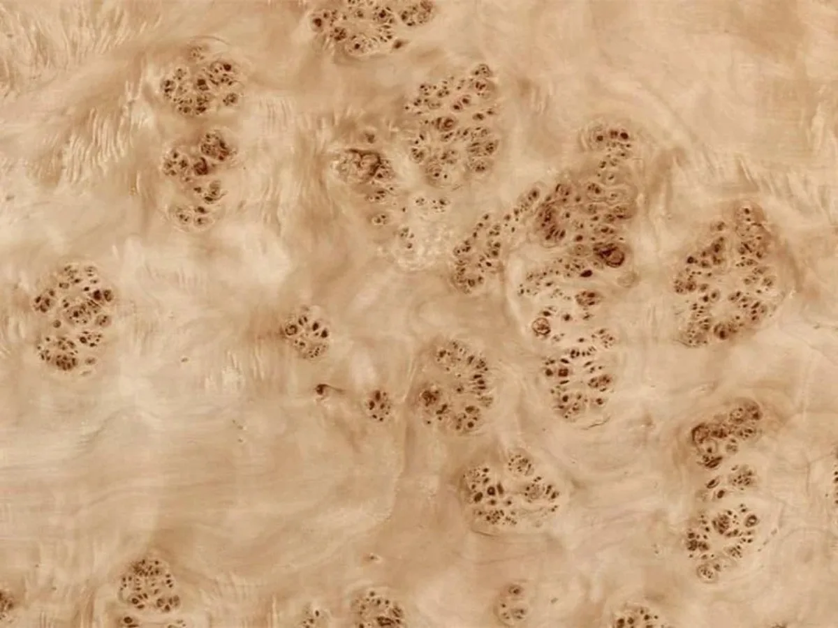 Burl Wood material sample
